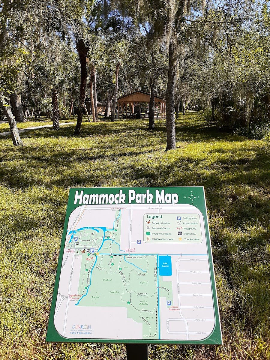 Hammock Park Butterfly Garden On Vacay Getaways